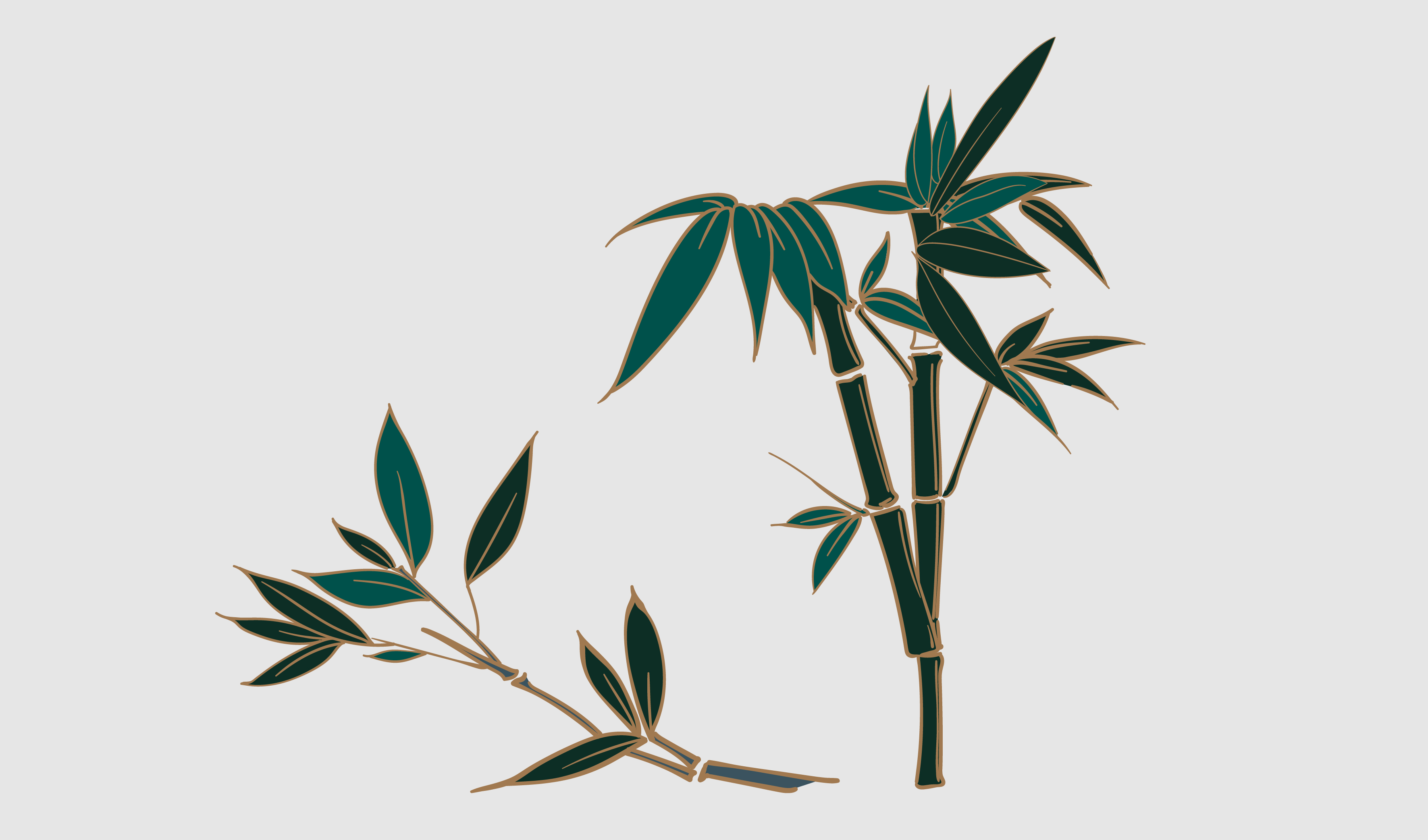 传统竹子竹叶插画矢量图